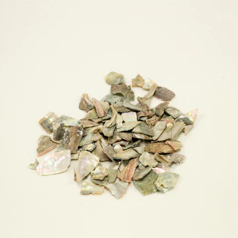 Shi Jue Ming |  石决明