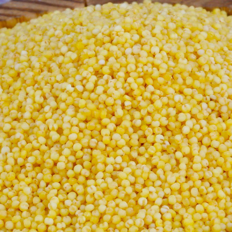 Xin Jiang Xiao Mi | 新疆小米 | 500g