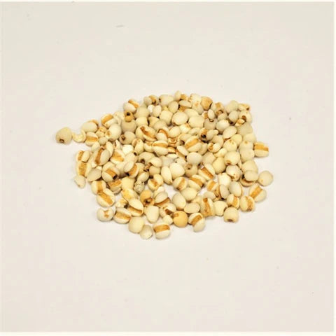 Yi Yi Ren (sheng) |  Semen Coicis