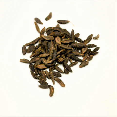 Xiang Fu | Rhizoma Cyperi