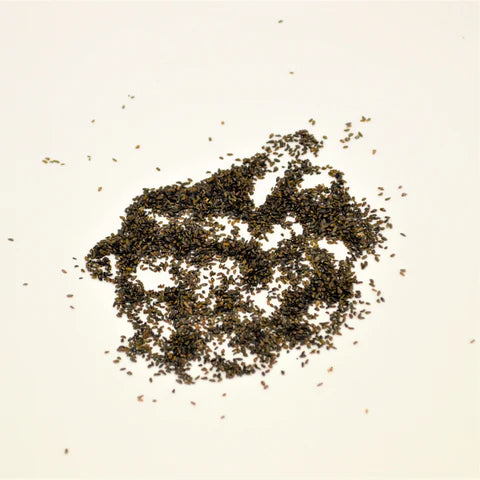 Che Qian Zi | Semen Plantaginis