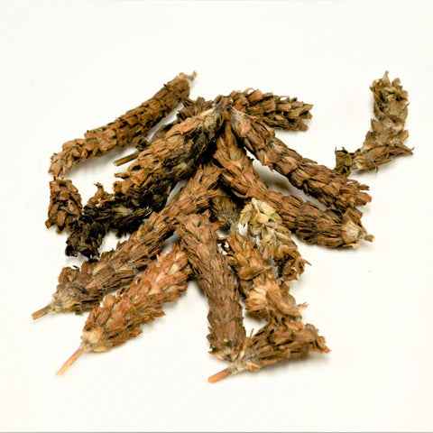 Xia Ku Cao |  Spica Prunellae