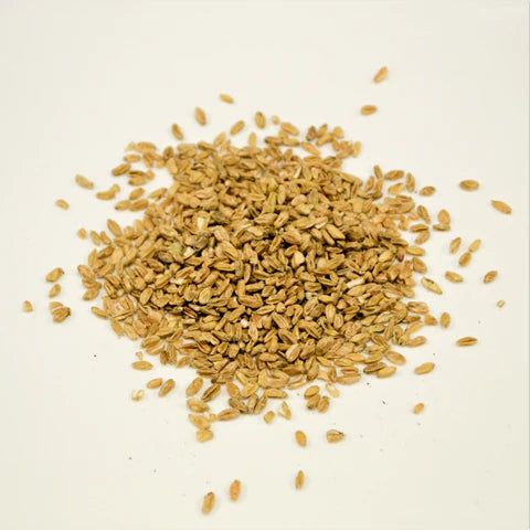 Fu Xiao Mai | Fructus Tritici Levis
