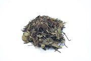 Luo Shi Teng | Stengel Trachelospermi Jasminoidis