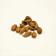 Sha Ren | Fructus Amomi