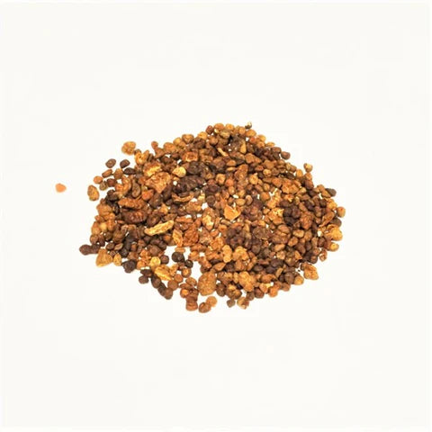 Yi Zhi Ren | Fructus Alpiniae Oxyphyllae