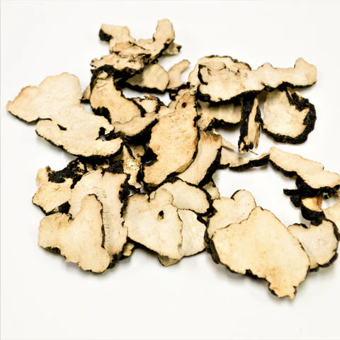 Zhu Ling | Polyporus