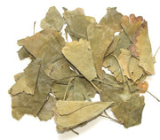 Yin Xing Ye | 银杏叶 | Gingko Leaves
