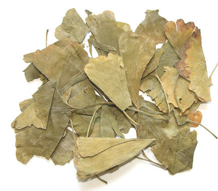 Yin Xing Ye | 银杏叶 | Gingko Leaves