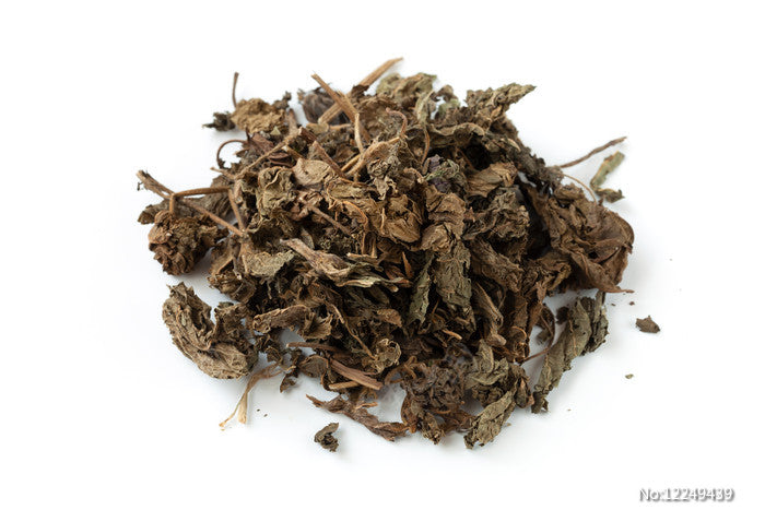 Zi Su Ye | Folium Perillae
