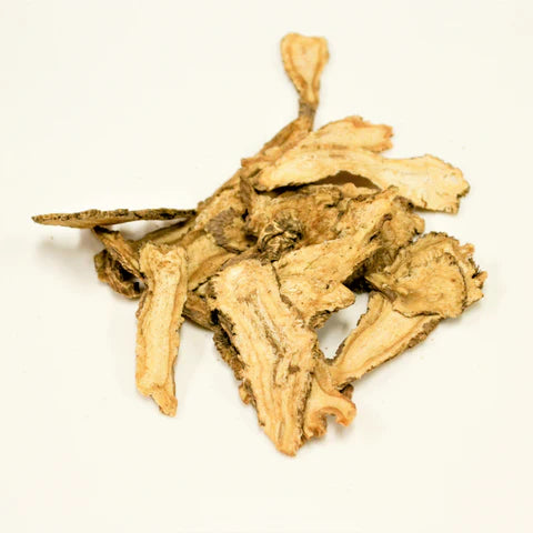 Dang Gui | Radix Angelicae Sinensis