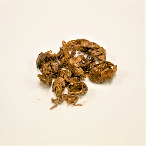 Chan Tui | 蝉蜕 |100g