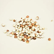 Qian Shi | Semen Euryales