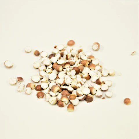 Qian Shi | Semen Euryales
