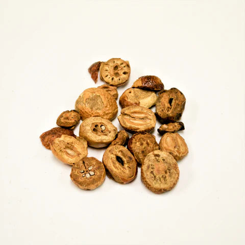 Chuan Lian Zi | Fructus Toosendam