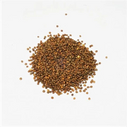 Zi Su Zi | Fructus Perillae Frutescentis