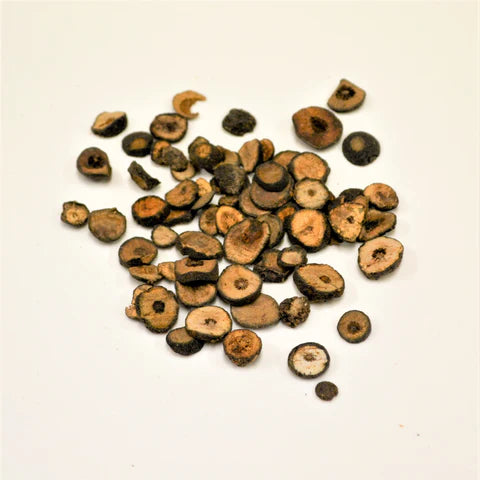 Zhi Shi | Fructus Aurantii Immaturus